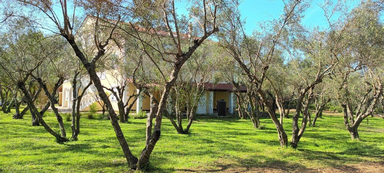 Antonios Olive Garden Acharavi Kerkyra Apartment Ngoại thất bức ảnh