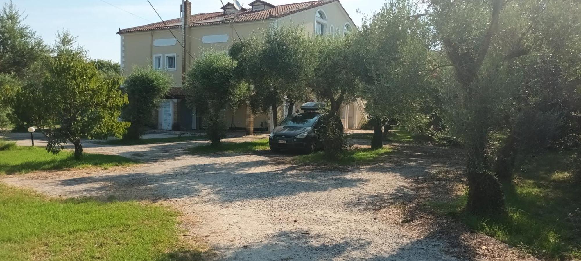 Antonios Olive Garden Acharavi Kerkyra Apartment Ngoại thất bức ảnh